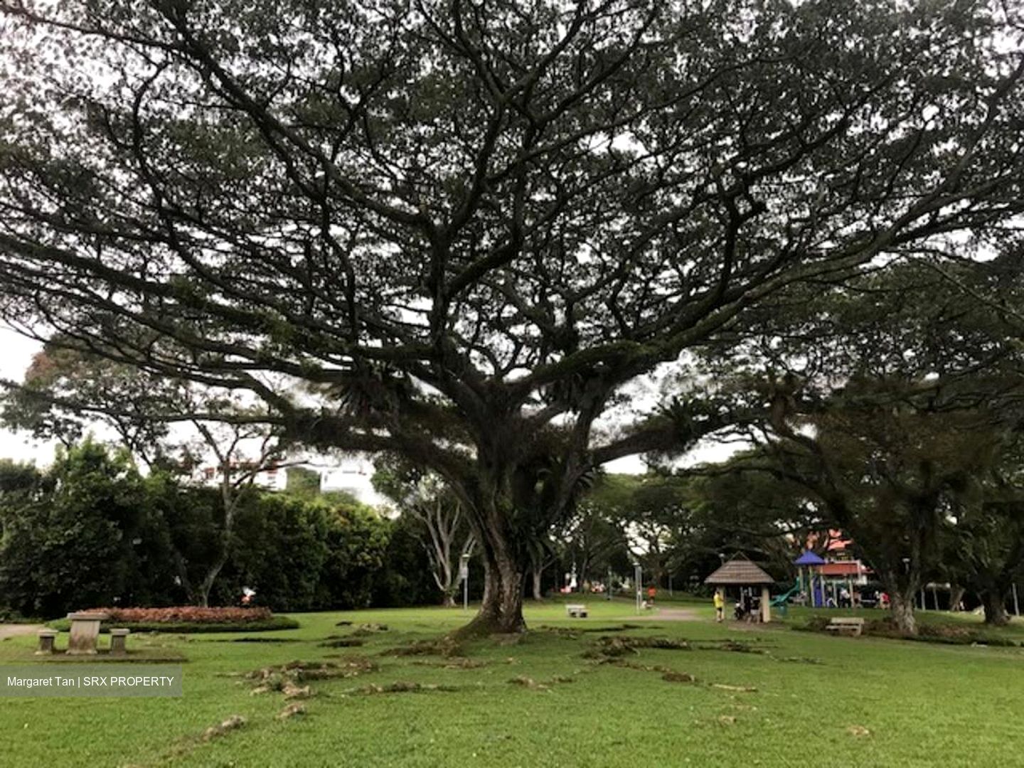 Clementi Park (D21), Detached #582422991
